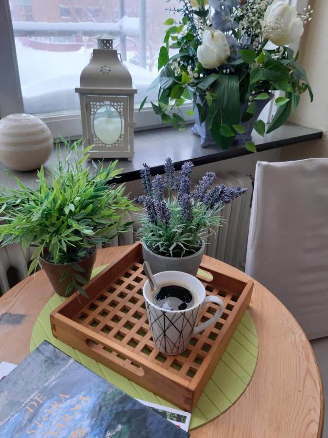 Pitea Vandrarhem *